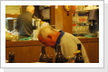 Klicken Sie auf das Bild, um es zu vergr&ouml;&szlig;ern