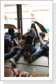 Klicken Sie auf das Bild, um es zu vergr&ouml;&szlig;ern